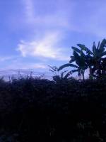 morning, view, at, lake, danao