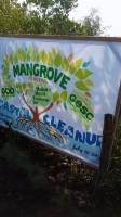 mangrove, planting, and, coastal, cleanup