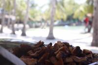 had, lunch, at, pepper, lunch, family, time, bonding, loves