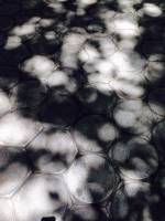 girlfriends, shadows