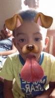 snapchat, dog, filter, cute, loves, mwah, forever, baby