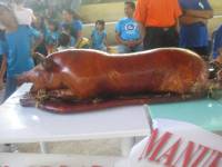 roasted pig