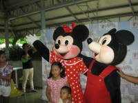 mini, teddybears, mickey mouse, stitch, brown bear