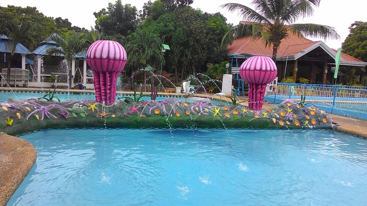 villa asela swimming pool swimming time