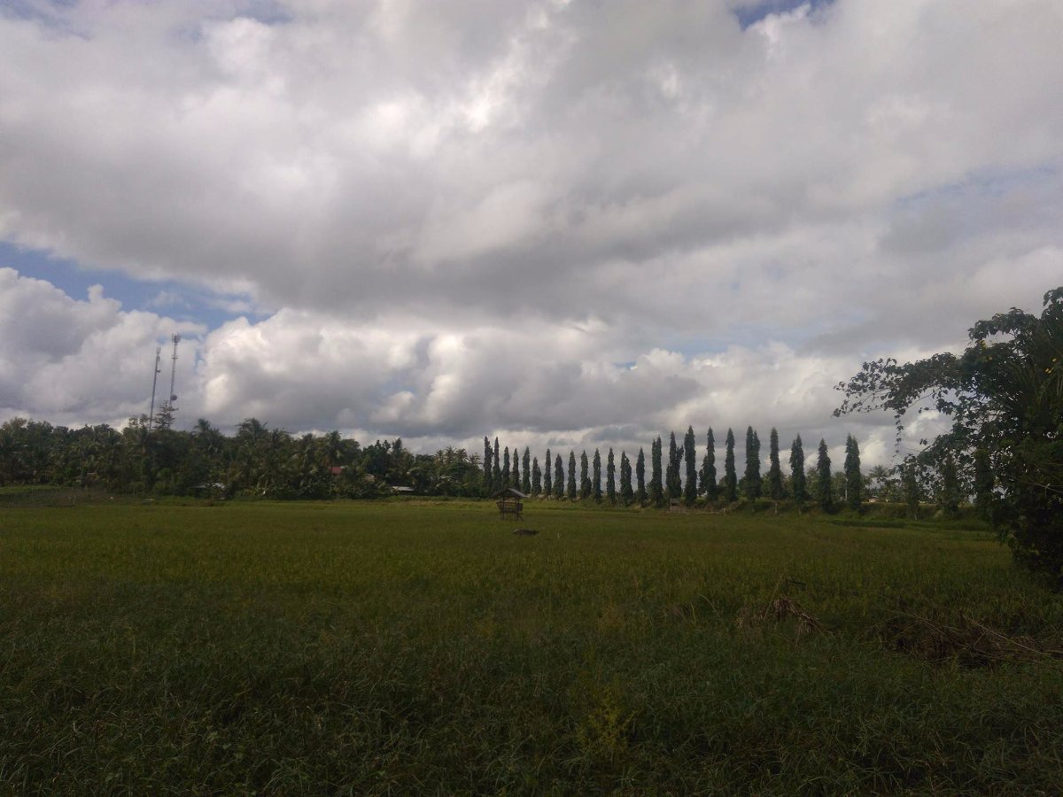 when in bohol summer vacation beautiful nature