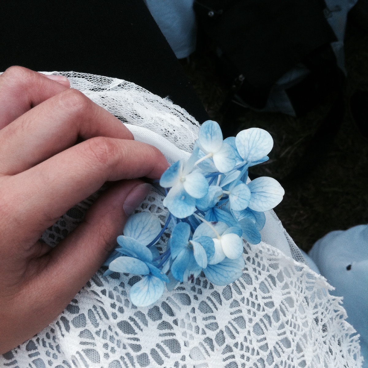 Blue Flower