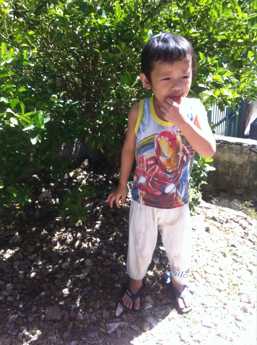 Cute zander