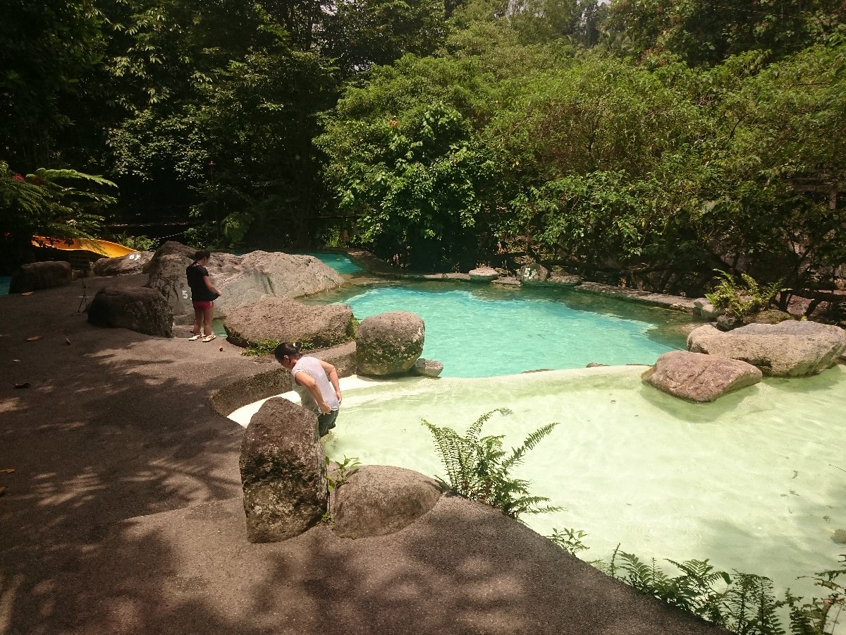 Forest camp, waterfalls, pool