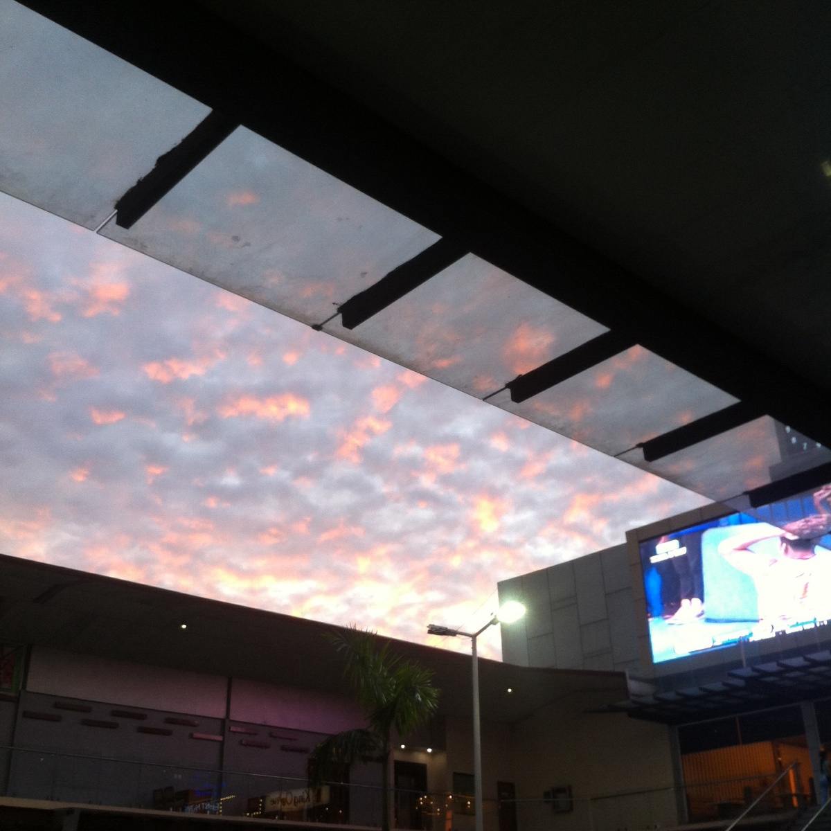 Pink Sunset