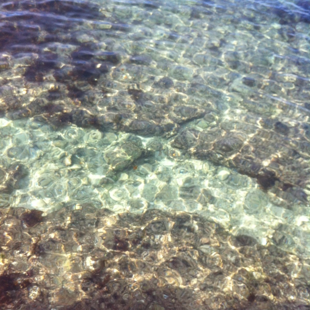 So clear