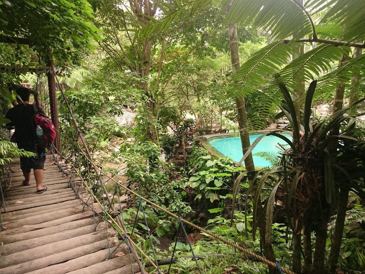 forest camp