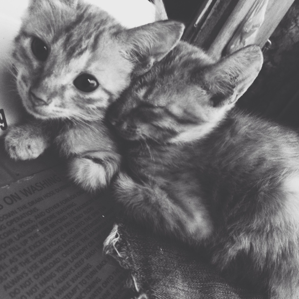 Photo uploaded by eluen71, 112
