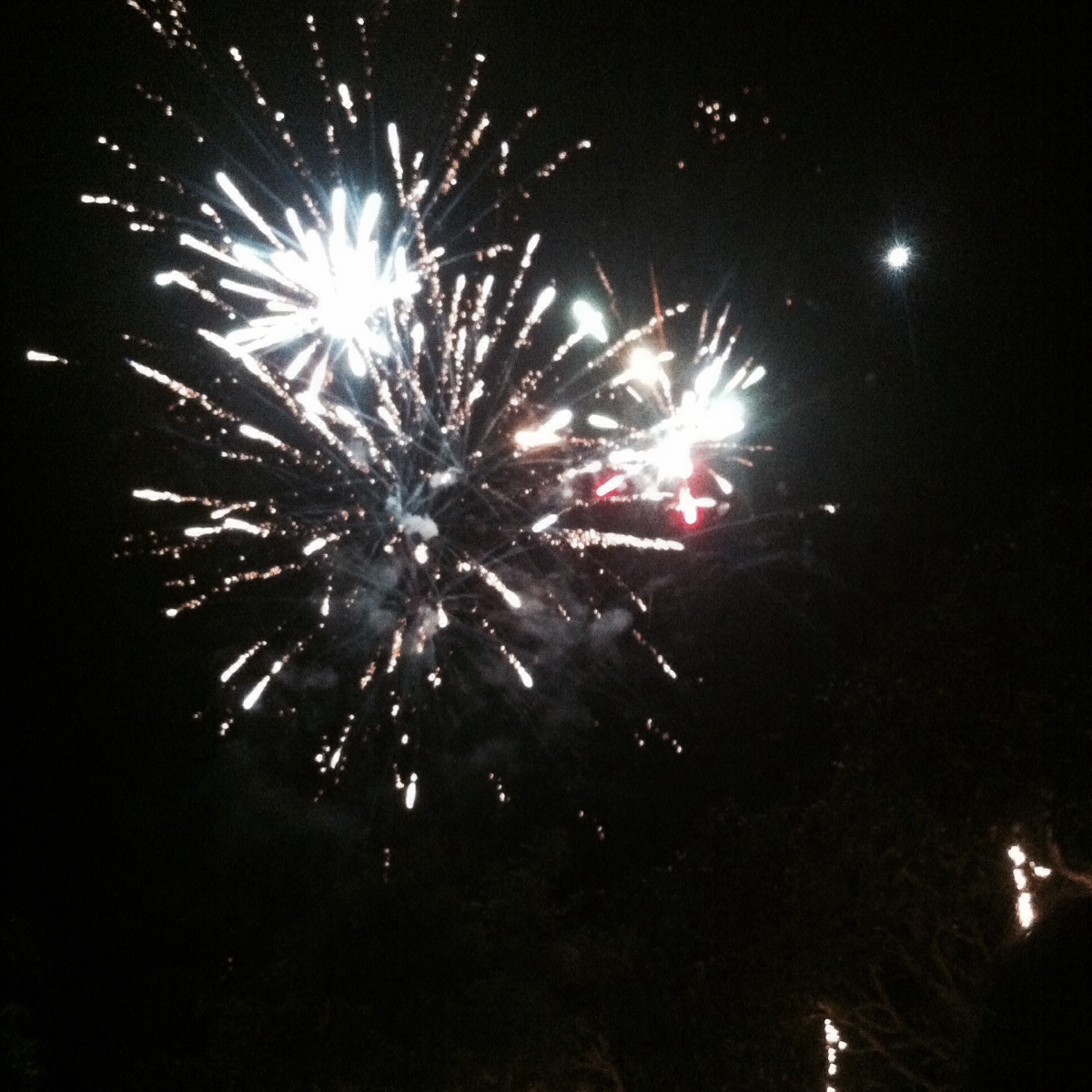 Photo uploaded by eluen71, 241