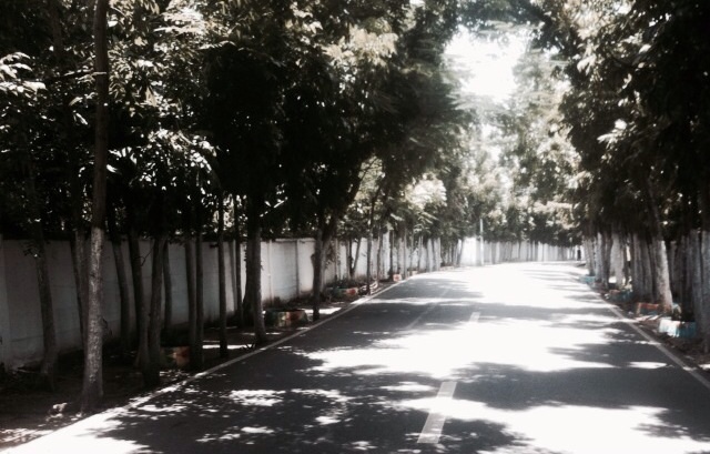 Photo uploaded by eluen71, 257