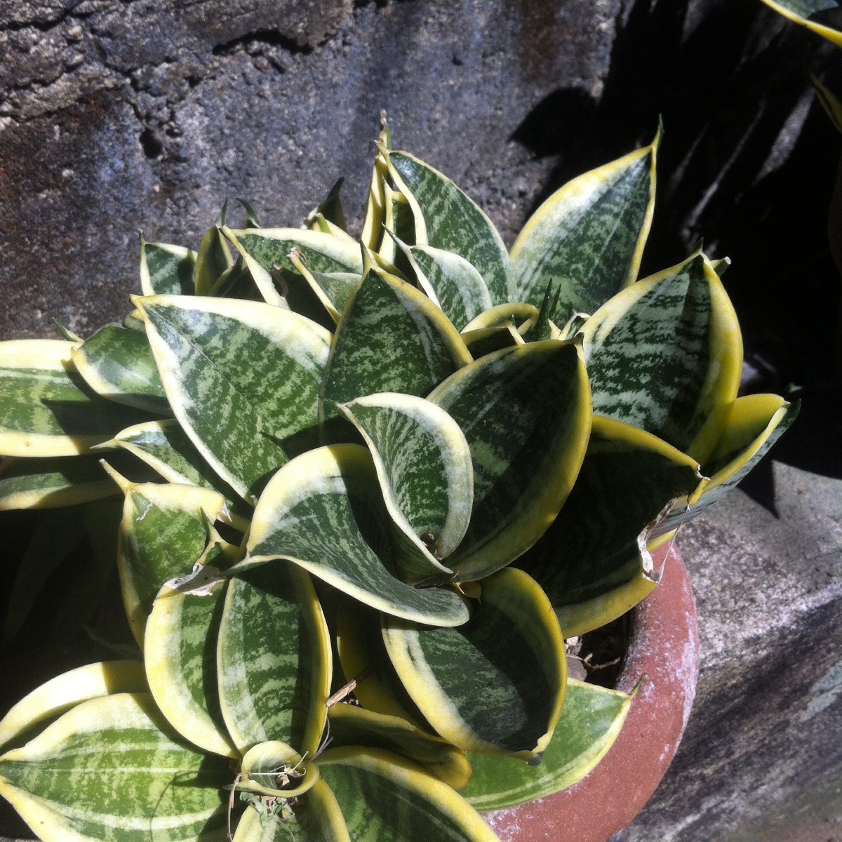 Photo uploaded by eluen71, 342