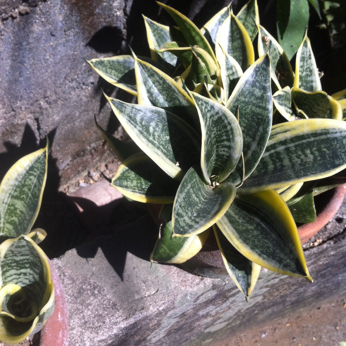 Photo uploaded by eluen71, 343