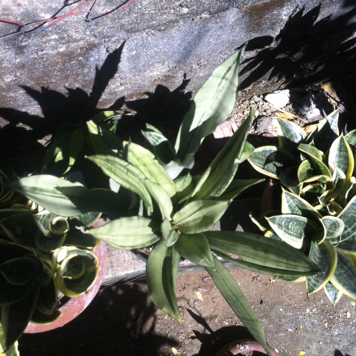 Photo uploaded by eluen71, 346