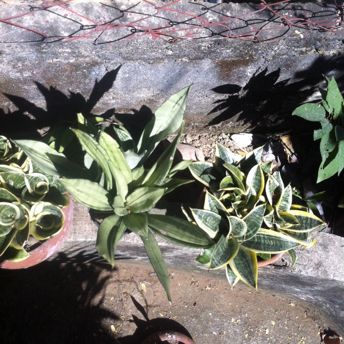 Photo uploaded by eluen71, 347