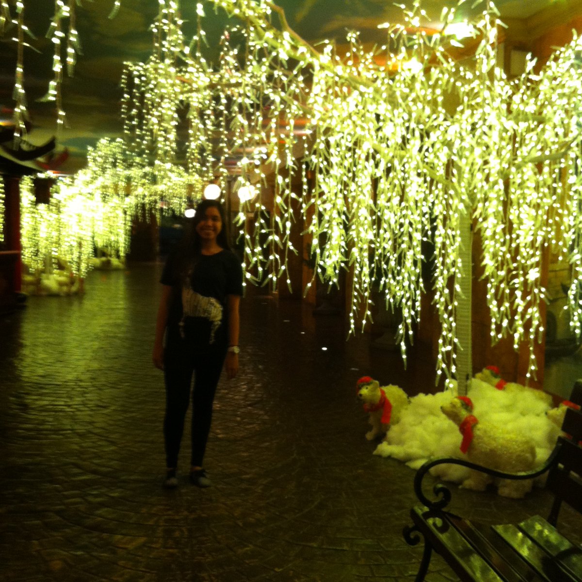Photo uploaded by eluen71, 493