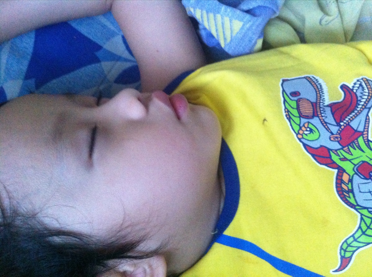 Photo uploaded by eluen71, 509