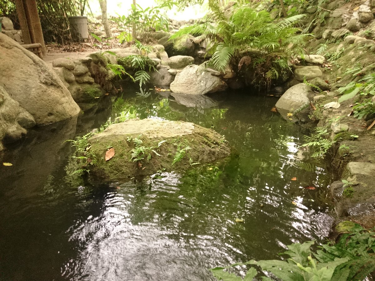 Photo uploaded by eluen71, 586