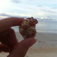 Camotes, adventure, 2015