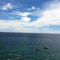 beach moalboal friends adventure bluesky