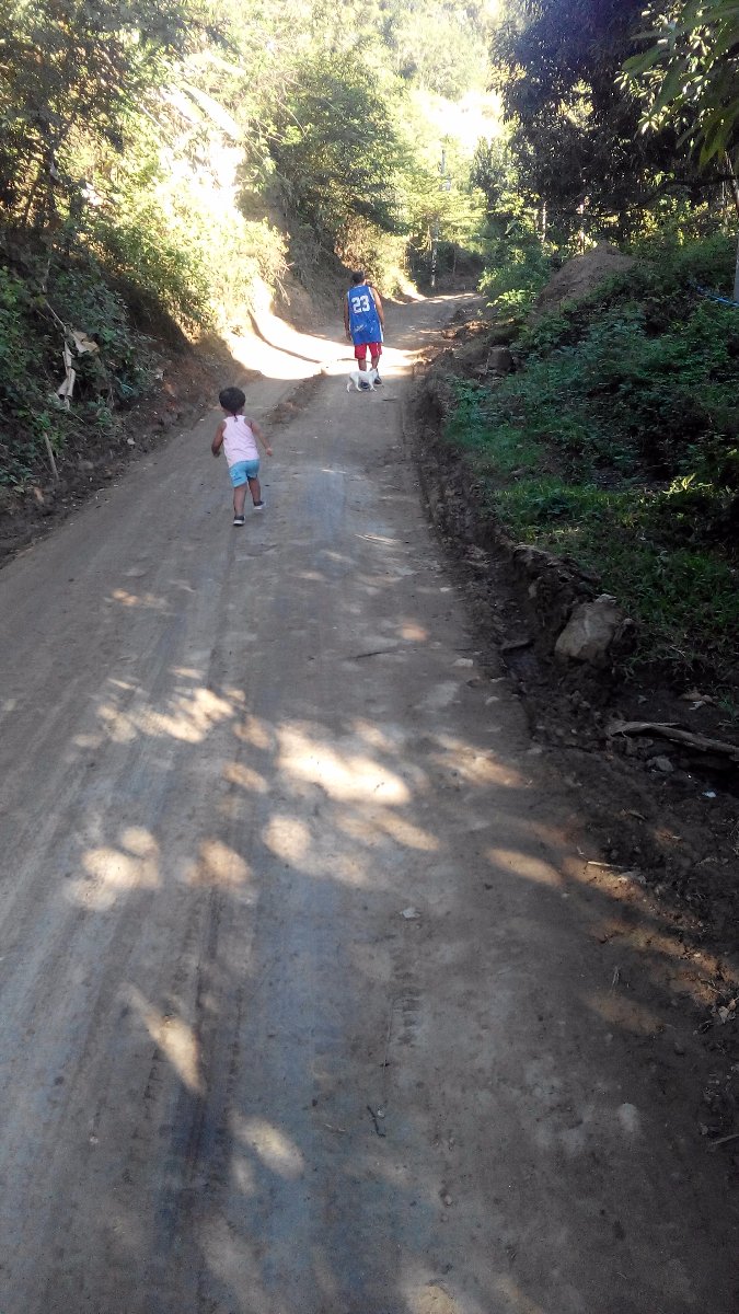 morning run, nature is fun,