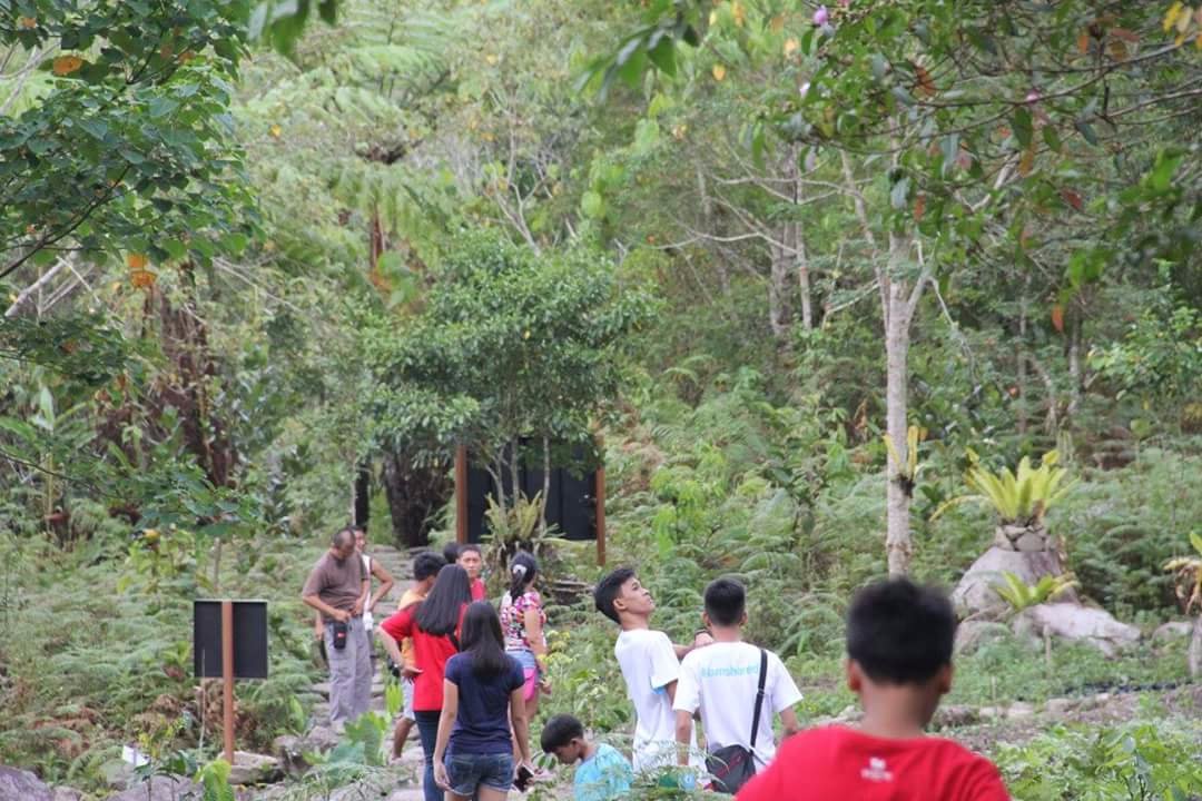Exploring with the gang