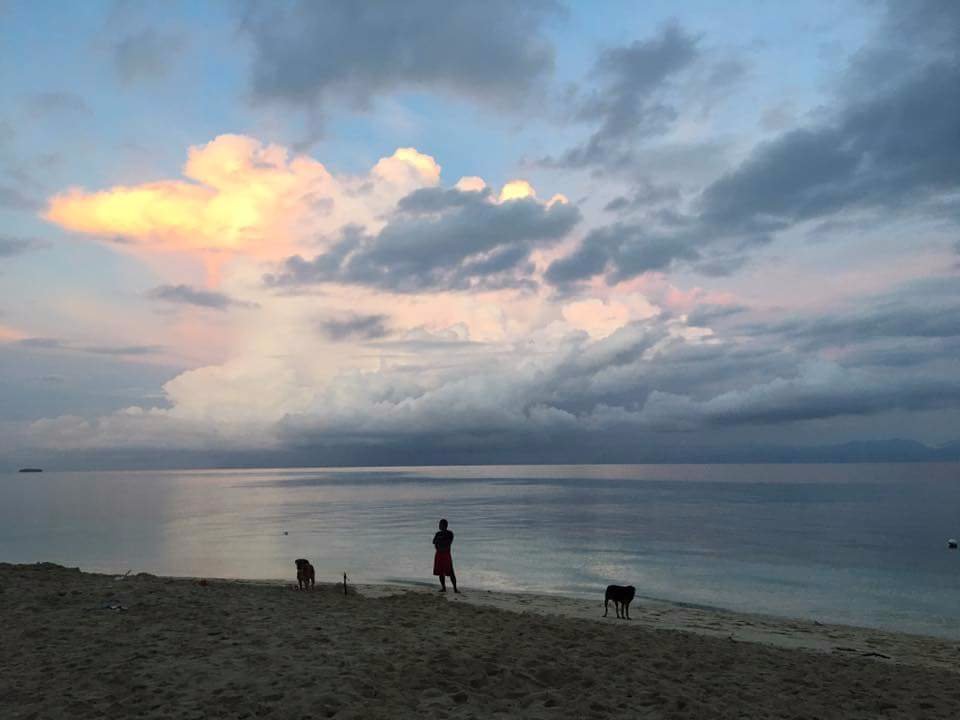 Morning view