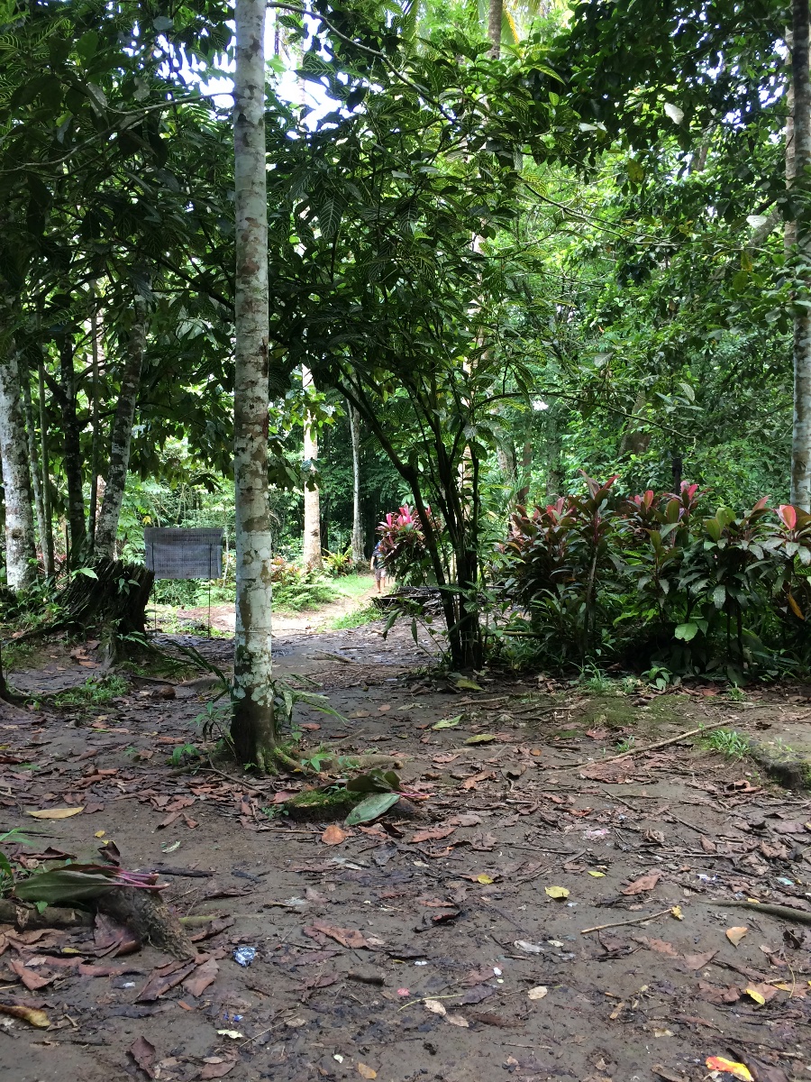Nature