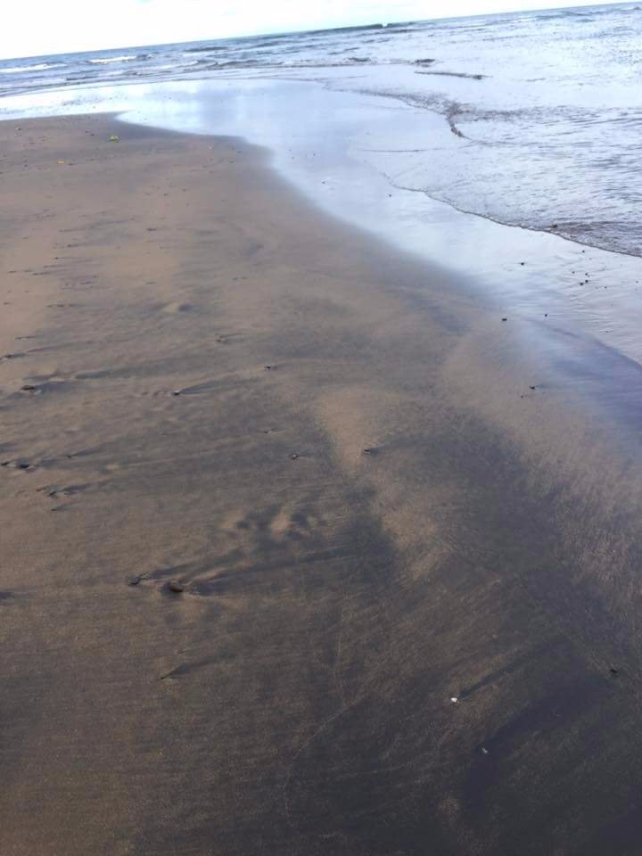 The ocean where I belong