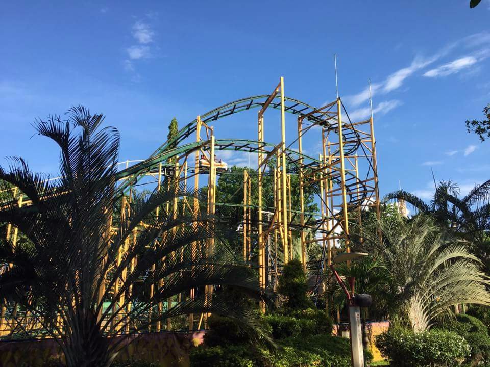 View of the roller coaster