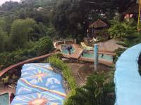 Love the pool