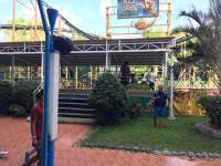 Kiddie froggy ride