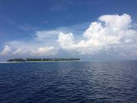 The ocean where I belong