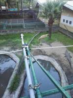 Big crocs