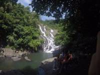The beauty of nature