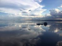 The beauty of nature
