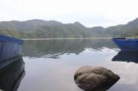 Mangrove and lake