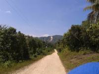 Bohol road
