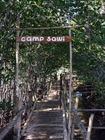 Camp sawi