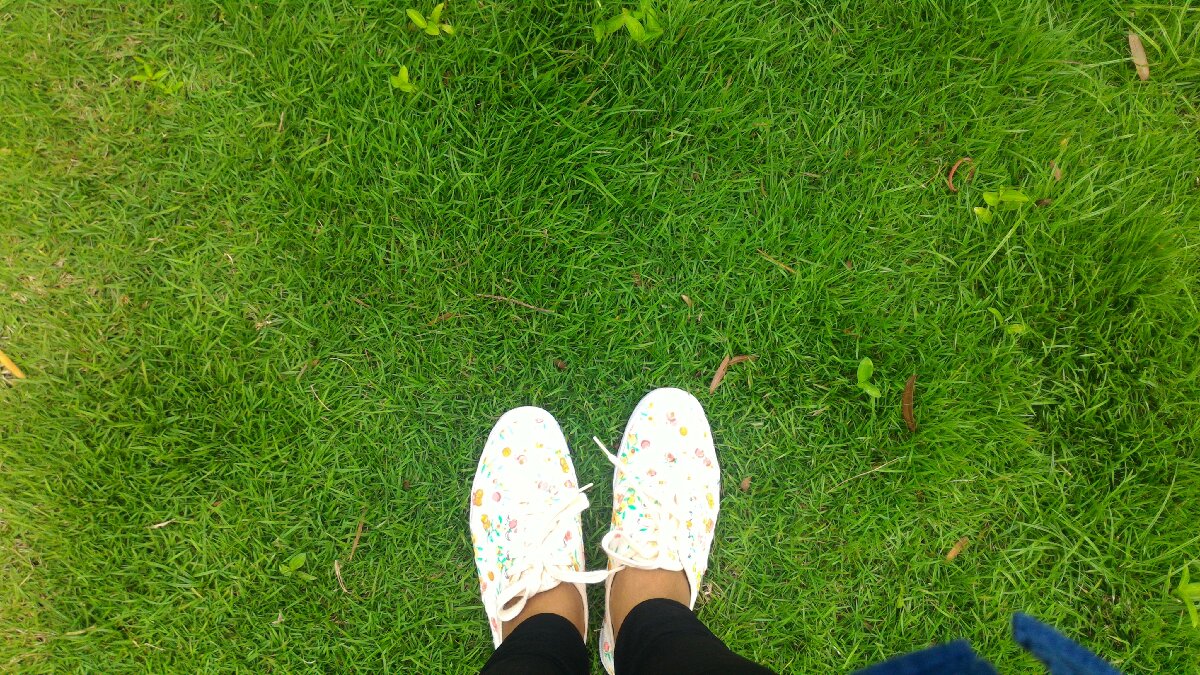 Photo uploaded by ethpa52, 509