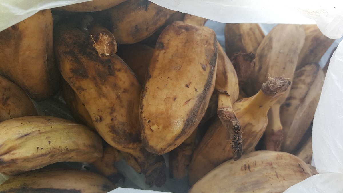 Banana