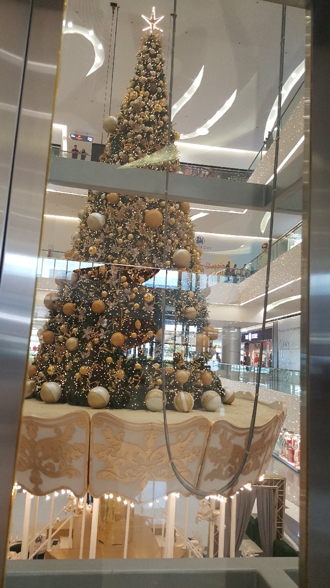 Christmas Tree behind the elevator