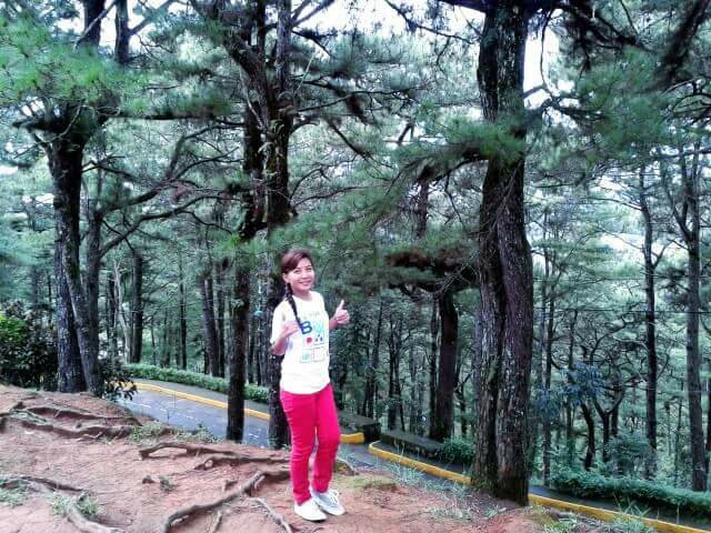 City of Pines