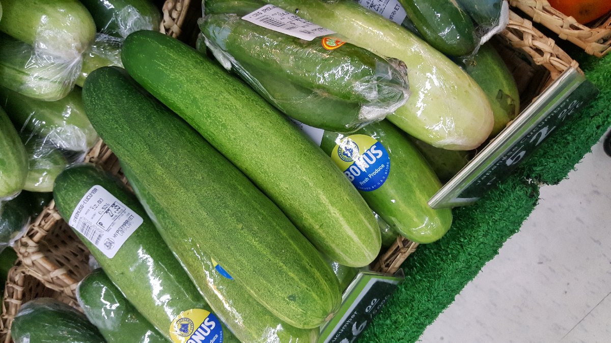 Cucumber