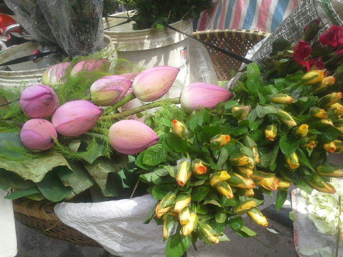 Flowers in Vietnam