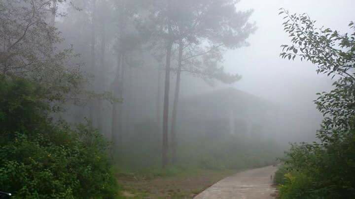 Foggy Sagada