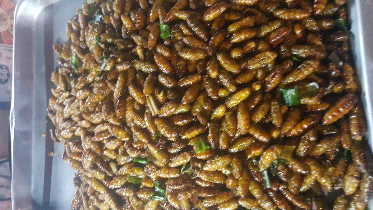 Fried Maggots #WheninThailand #ThailandFood #Bangkokfood #food